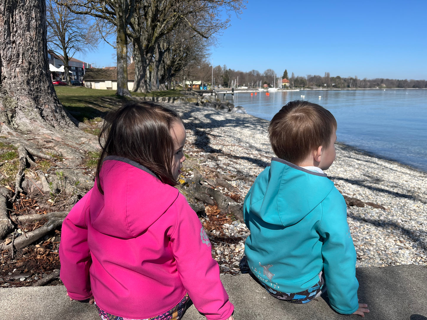 Kinder Softshelljacke mit Fleece, Smaragdgrüne, Autos