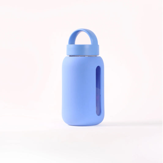 BINK Mini Bottle 500ml | diverse Farben